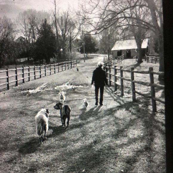 Meet your Posher, Elizabeth - Picture 4 of 13